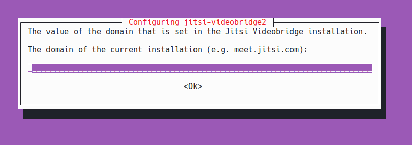 jitsi-setup-provide-domain